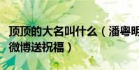 顶顶的大名叫什么(潘粤明见不到儿子只能在微博送祝福)