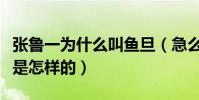 张鲁一为什么叫鱼旦(急么张鲁一的感情现状是怎样的)