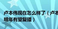卢本伟现在怎么样了(卢本伟现状被禁一年多明年有望复播)