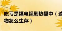 吃亏是福电视剧热播中(这部剧告诉我们小人物怎么生存)