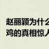 赵丽颖为什么叫赵鸡（赵丽颖走红被网友骂赵鸡的真相惊人）