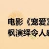 电影《宠爱》票房破6亿口碑获赞（吴磊张子枫演绎令人感动）