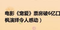 电影《宠爱》票房破6亿口碑获赞(吴磊张子枫演绎令人感动)