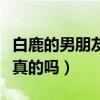 白鹿的男朋友是谁（网曝她和张逸杰谈恋爱是真的吗）