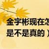 金宇彬现在怎么样了（网曝金宇彬成功抗癌了是不是真的）