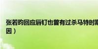 张若昀回应唇钉也曾有过杀马特时期(张若昀打唇钉什么原因)