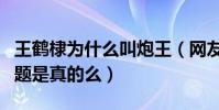 王鹤棣为什么叫炮王(网友扒出他性取向有问题是真的么)
