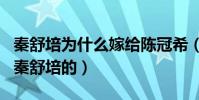 秦舒培为什么嫁给陈冠希(陈冠希有什么吸引秦舒培的)