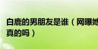 白鹿的男朋友是谁(网曝她和张逸杰谈恋爱是真的吗)
