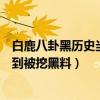 白鹿八卦黑历史当小三被包养是真的吗（于正力捧白鹿没想到被挖黑料）