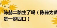 陈赫二胎生了吗(陈赫为武汉加油时穿的衣服是一家四口)