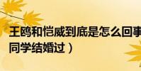 王鸥和恺威到底是怎么回事(网爆王鸥与杨幂同学结婚过)