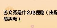 苏文秀是什么电视剧(由配冥开启了百年的情感纠缠)