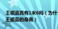 王祖蓝真有1米6吗(为什么大家都喜欢调侃王祖蓝的身高)