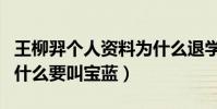 王柳羿个人资料为什么退学学电竞(王柳羿为什么要叫宝蓝)