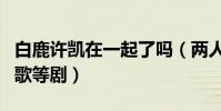 白鹿许凯在一起了吗(两人一起合作招摇和朝歌等剧)