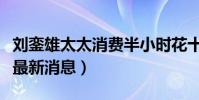 刘銮雄太太消费半小时花十万元(刘銮雄甘比最新消息)