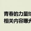 青春的力量综艺安徽卫视播到哪了（终极篇章相关内容曝光）