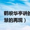 鹤唳华亭讲的什么故事（剧情注重传统文化智慧的再现）