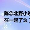 陈念北野小说中有H吗（陈念和小北结局最终在一起了么）