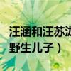 汪涵和汪苏泷什么关系（网曝汪苏泷是汪涵的野生儿子）