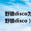 野狼disco为什么这么火（网传陈伟霆唱火了野狼disco）