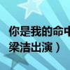 你是我的命中注定什么时候播出（邢昭林搭档梁洁出演）