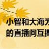 小智和大海为什么撕逼（两人在几十万人观看的直播间互撕）