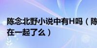 陈念北野小说中有H吗(陈念和小北结局最终在一起了么)