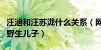 汪涵和汪苏泷什么关系(网曝汪苏泷是汪涵的野生儿子)