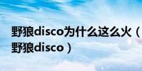 野狼disco为什么这么火(网传陈伟霆唱火了野狼disco)