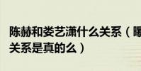 陈赫和娄艺潇什么关系(曝陈赫娄艺潇不正当关系是真的么)