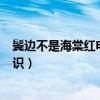 鬓边不是海棠红电视剧是bl吗最新剧照（黄晓明尹正乱世相识）