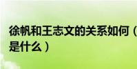 徐帆和王志文的关系如何(两人当年分手原因是什么)