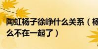 陶虹杨子徐峥什么关系(杨子与陶虹离婚为什么不在一起了)