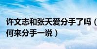 许文志和张天爱分手了吗(恋情都没有承认过何来分手一说)