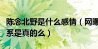 陈念北野是什么感情(网曝陈念小北是救赎关系是真的么)