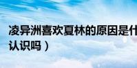 凌异洲喜欢夏林的原因是什么(两个人在之前认识吗)