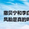 撒贝宁和李白怎么认识相爱的（网传李白怀龙凤胎是真的吗）