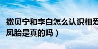 撒贝宁和李白怎么认识相爱的(网传李白怀龙凤胎是真的吗)