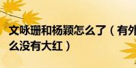 文咏珊和杨颖怎么了(有外表有演技的她为什么没有大红)