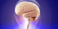 人工智能正在帮助科学家解释我们的大脑