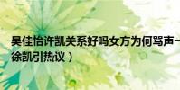 吴佳怡许凯关系好吗女方为何骂声一片(吴佳怡电视剧合作徐凯引热议)