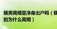骚男离婚是净身出户吗(骚男离婚始末是怎样的为什么离婚)