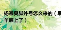 杨幂臭脚外号怎么来的(早期上快本却被一只羊缠上了)