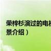 荣梓杉演过的电视剧作品为什么那么多（荣梓杉个人资料背景介绍）