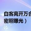 白客离开万合天宜了吗（白客与女友酱婶儿亲密照曝光）