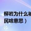 柳岩为什么被排挤（柳岩说自己不是公主是平民啥意思）