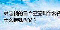 林志颖的三个宝宝叫什么名字(宝宝的名字有什么特殊含义)