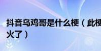 抖音乌鸡哥是什么梗(此梗来源于哪里为什么火了)